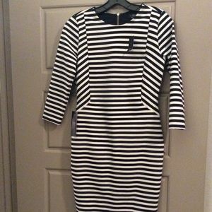 Navy Blue Striped Sheath Dress